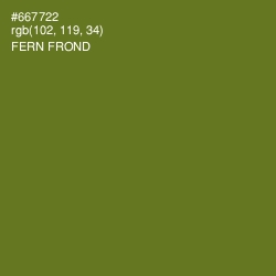 #667722 - Fern Frond Color Image